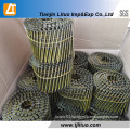 Supply Common Coil Nails Coil Framing Nails Factory